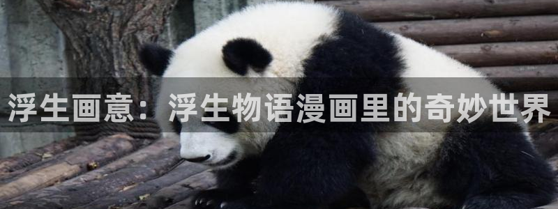 韩国歪歪漫画app：浮生画意：浮生物语漫画里的奇妙世界